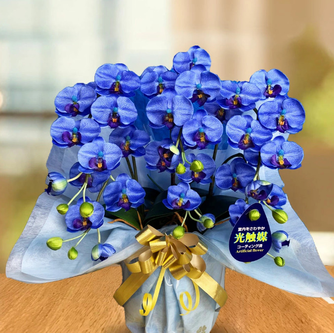 母の日のプレゼントにおすすめな胡蝶蘭 青 ブルーエレガンス 造花
