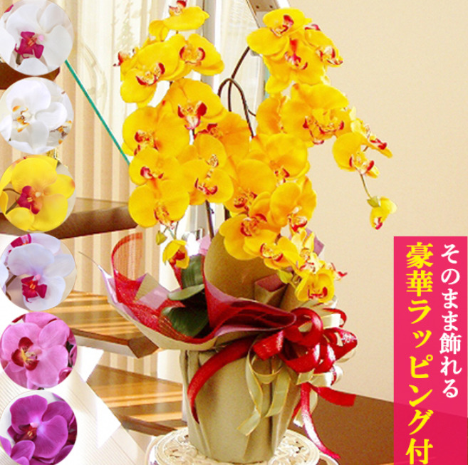 母の日の贈り物に胡蝶蘭 造花 優雅で高貴なシルクフラワーの胡蝶蘭の鉢植え 3本立ち